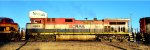 BCOL 4644